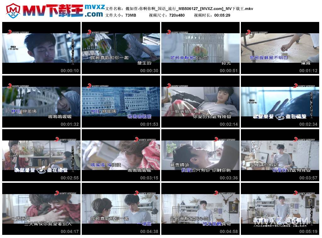 魏如萱-你啊你啊_国语_流行_MB506127